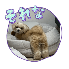 yaaa!_20230612202153