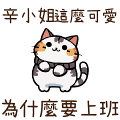 Cat Guide2Miss Xin25