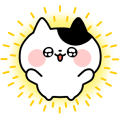 Cats Collection no text sticker