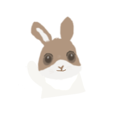 呆呆兔_日常生活