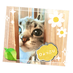 chi-ta_20230612101206