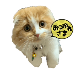 omochi_20230612155858