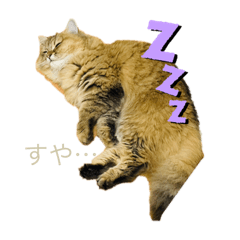 SAKURA_20230612193542