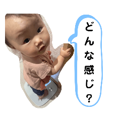 koto_20230613122326