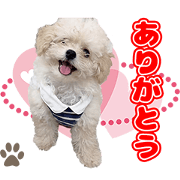 MOCHIKUN STICER