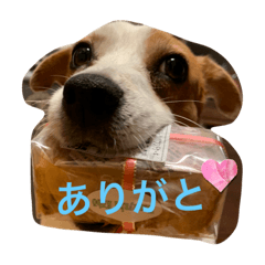 Jack_20230614081201