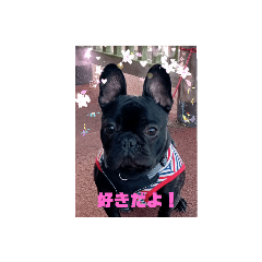 no_20230613210205