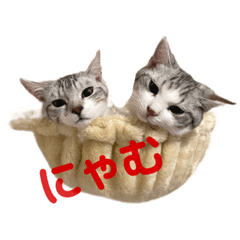 hana_20230613222155
