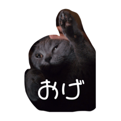 yuto_20230613200707