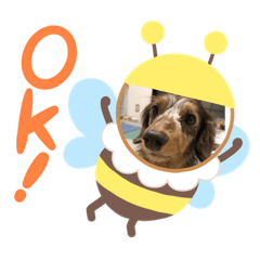 SHIHO_20230613174736