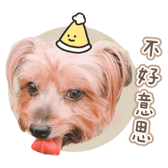 小北鼻妹妹