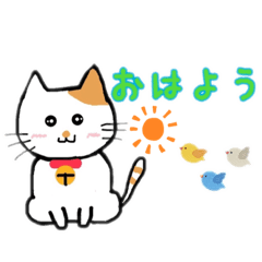 猫さん日本語