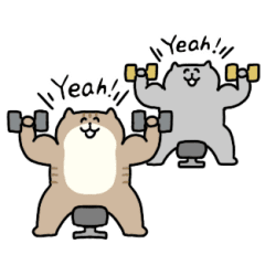 Muscle Cats (animated sticker)