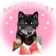 Mameshiba Kotaro's daily stamp 2