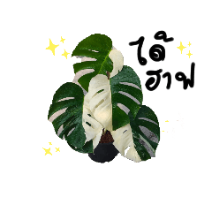 Thiya_20230614012833