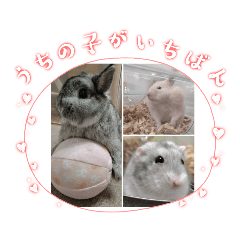 sunny_20230613202635