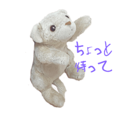 torapi06