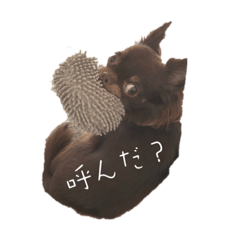 nao_20230613214156
