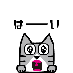 KAKU Cat Animation 4.0