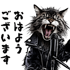 Daily use heavy metal band cat