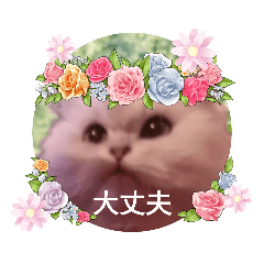 kuu_20230613195357