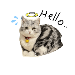 Thiya_20230614120940