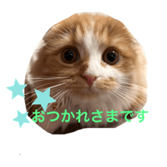 omochi_20230614105701