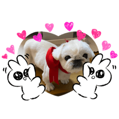 sadakoge_20230614132501