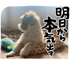 sadakoge_20230614140946