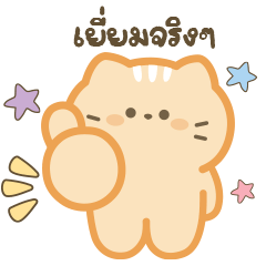 Cute Orange Cat "SomSom"