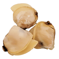Food Series : Some Clam