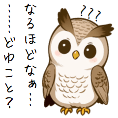 Misunderstood owl