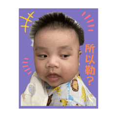 地瓜球在這裡～