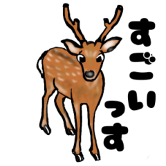 Nara deers