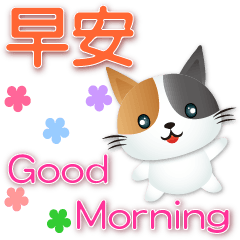 Cute Calico Cat-daily use