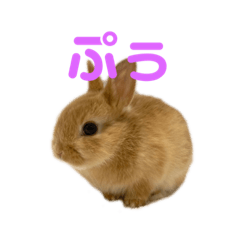 Hikaru_20230614205158