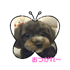 kana_20230614194430