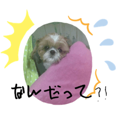 yuka_20230614194650