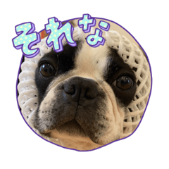 MEGUMI_20230614223051