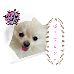 Sunny_20230615100111