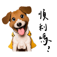 Dog family-2 (New)