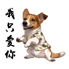 Jack Russell-Playboy Jacky