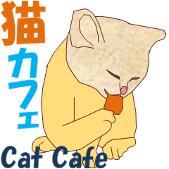 猫カフェ3