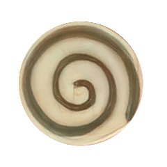 sakura_20230616090625