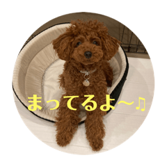 sanae_20230615175906