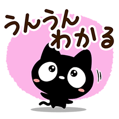 Very cute black cat99