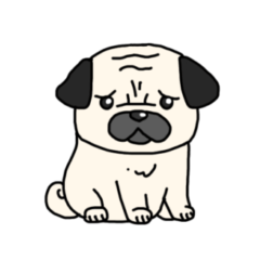 Pug dog 1 (no characters)