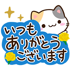 Small Cute Calico cat 68
