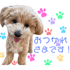 kana_20230615203107
