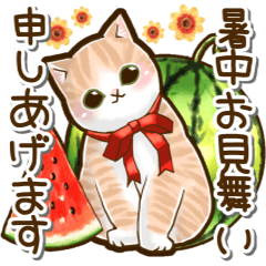 cat Summer Everyday sticker